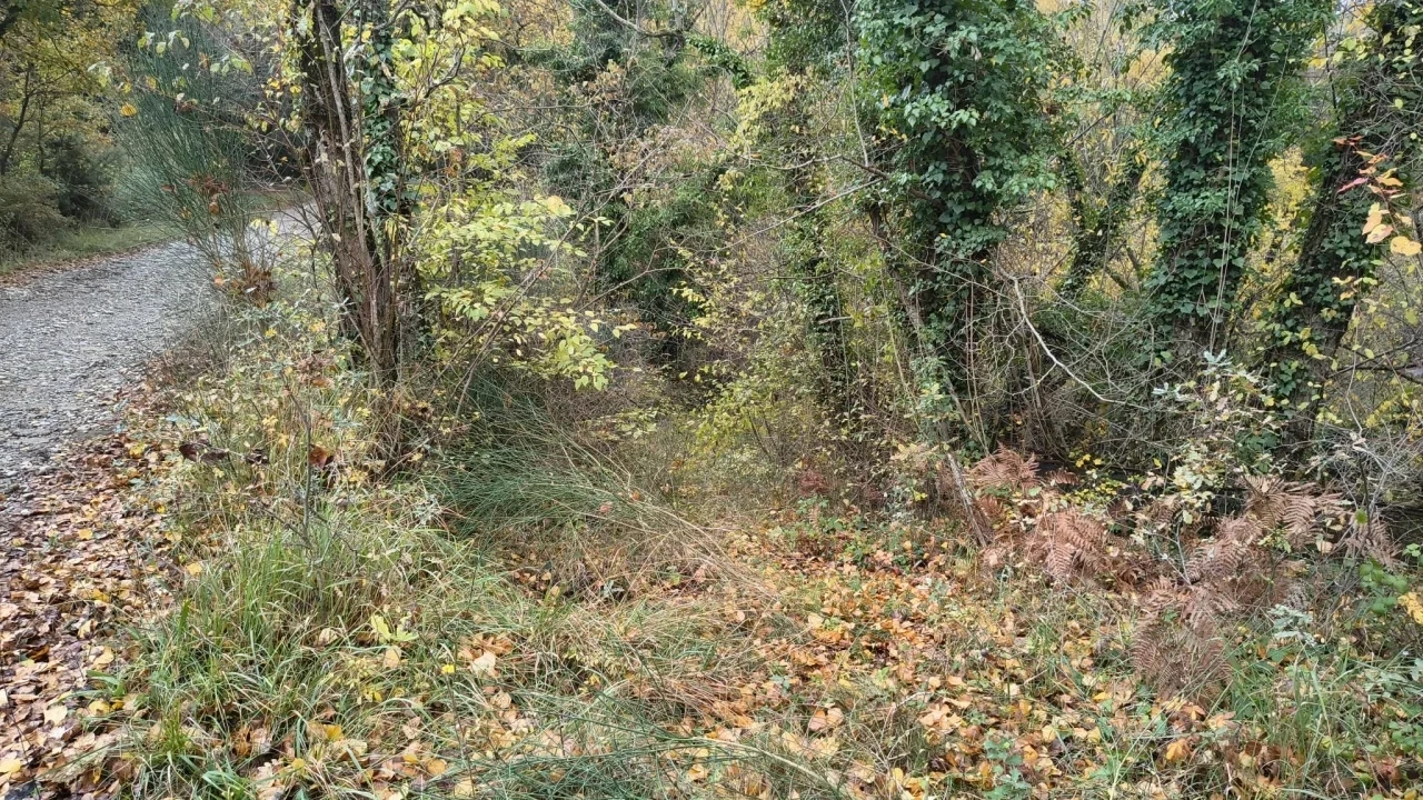2 - venta casa cinigiano toscana italia