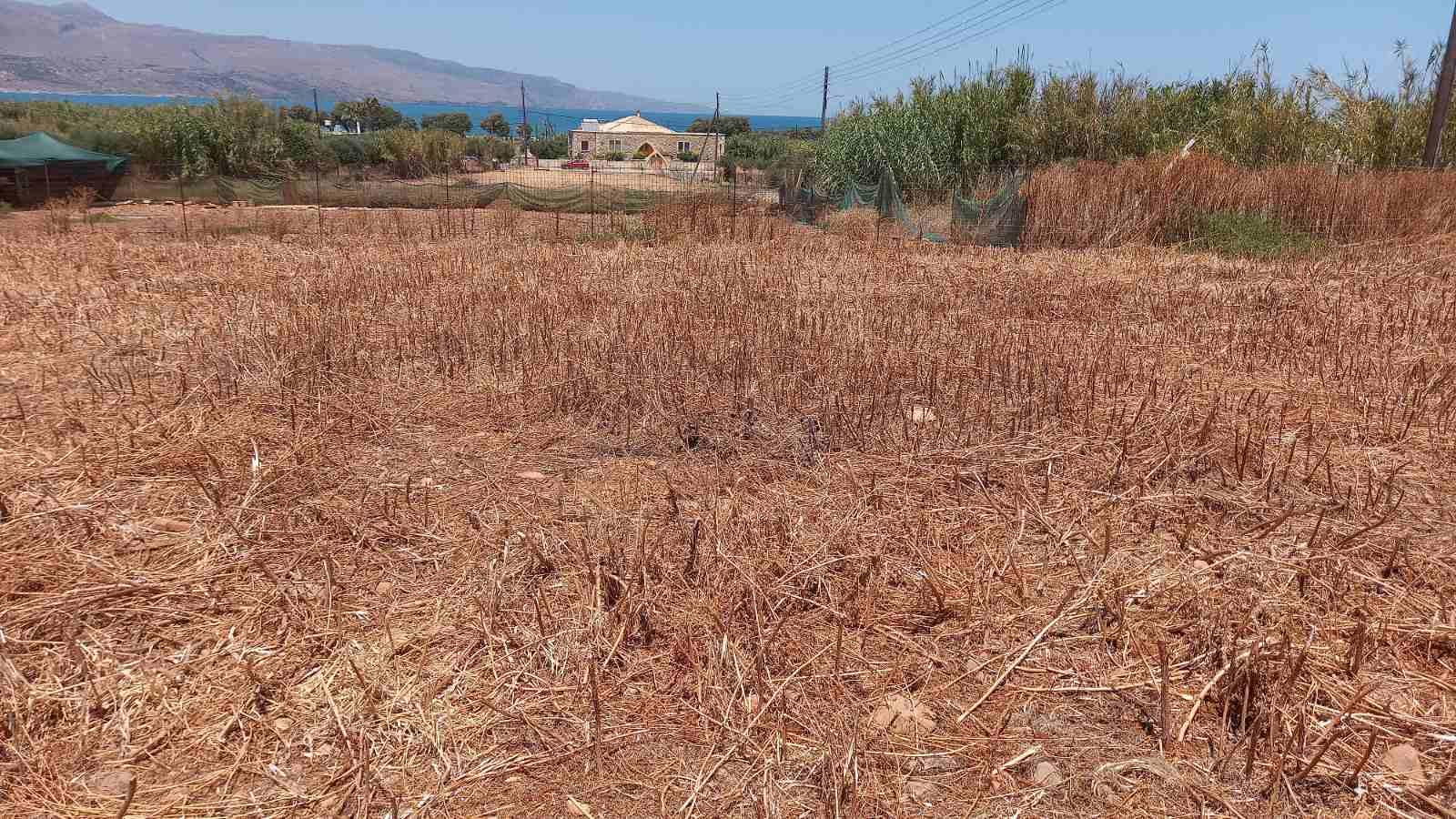 1 - sea view plot of land for sale in tavronitis crete greece