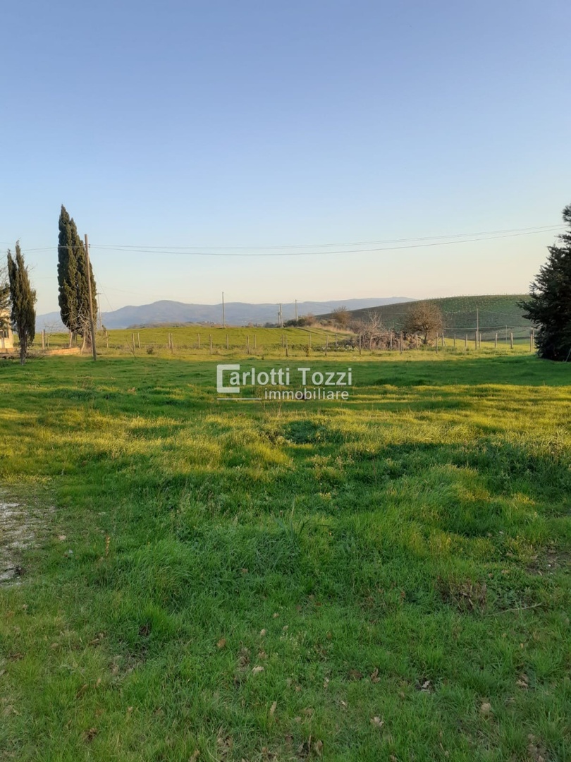 2 - vente propriété campagnatico toscane italie