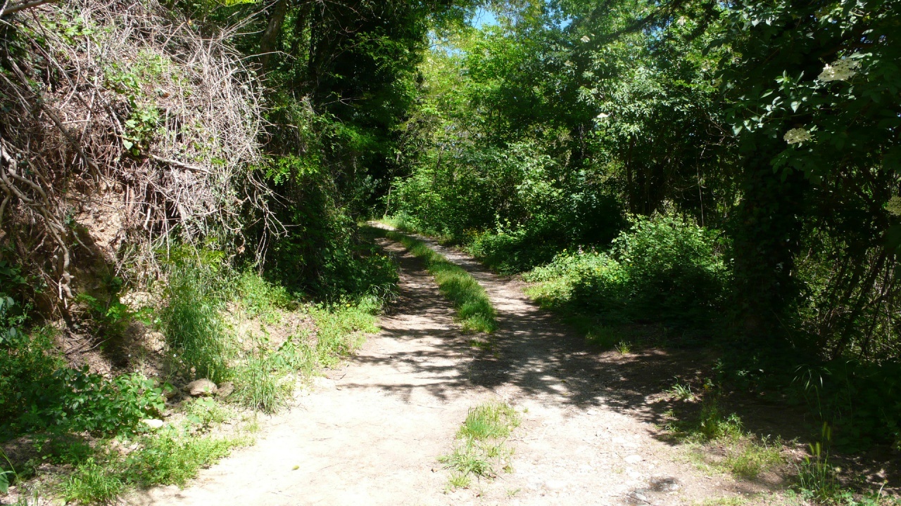 1 - vendita proprietà sorano toscana italia