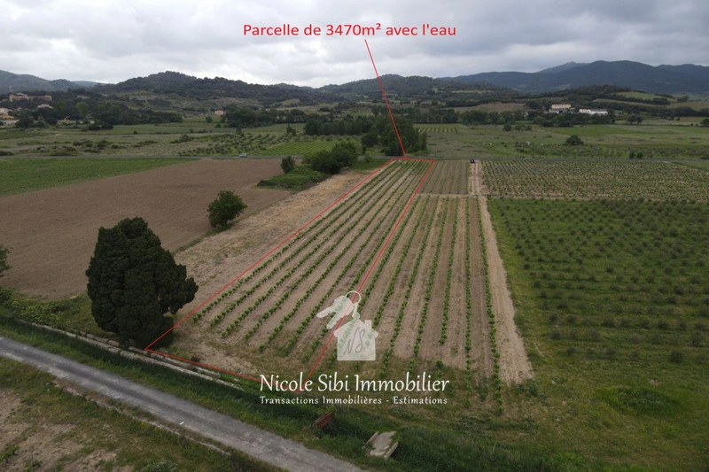 1 - vente terrain estagel pyrénées-orientales france