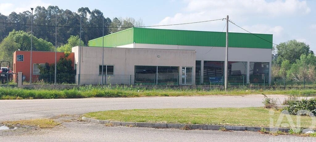 2 - vente commerce cantanhede région centre portugal