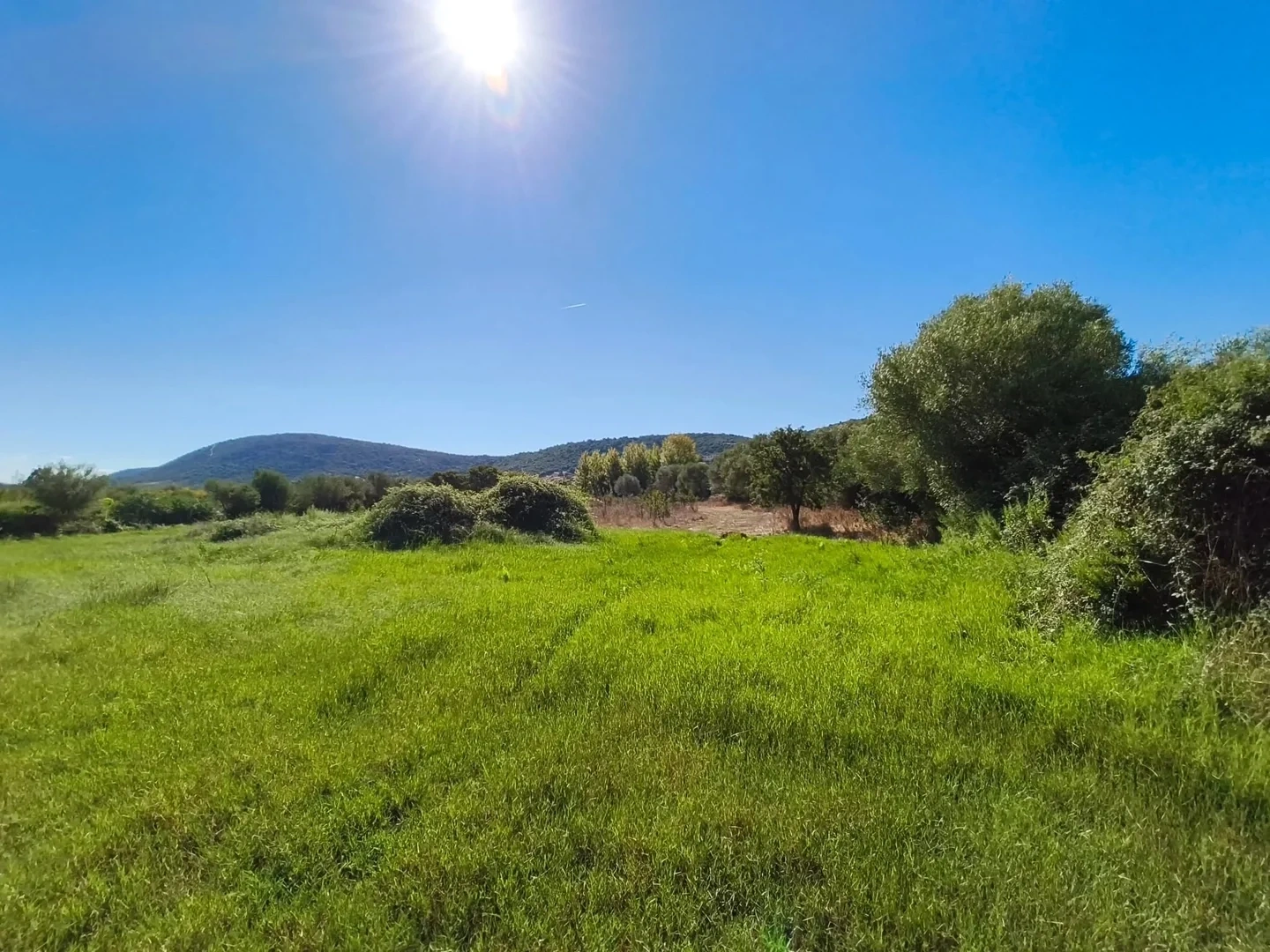 1 - plot of land for sale in budoni sardinia italy