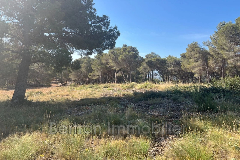 2 - plot of land for sale in espira-de-l'agly pyrénées-orientales france