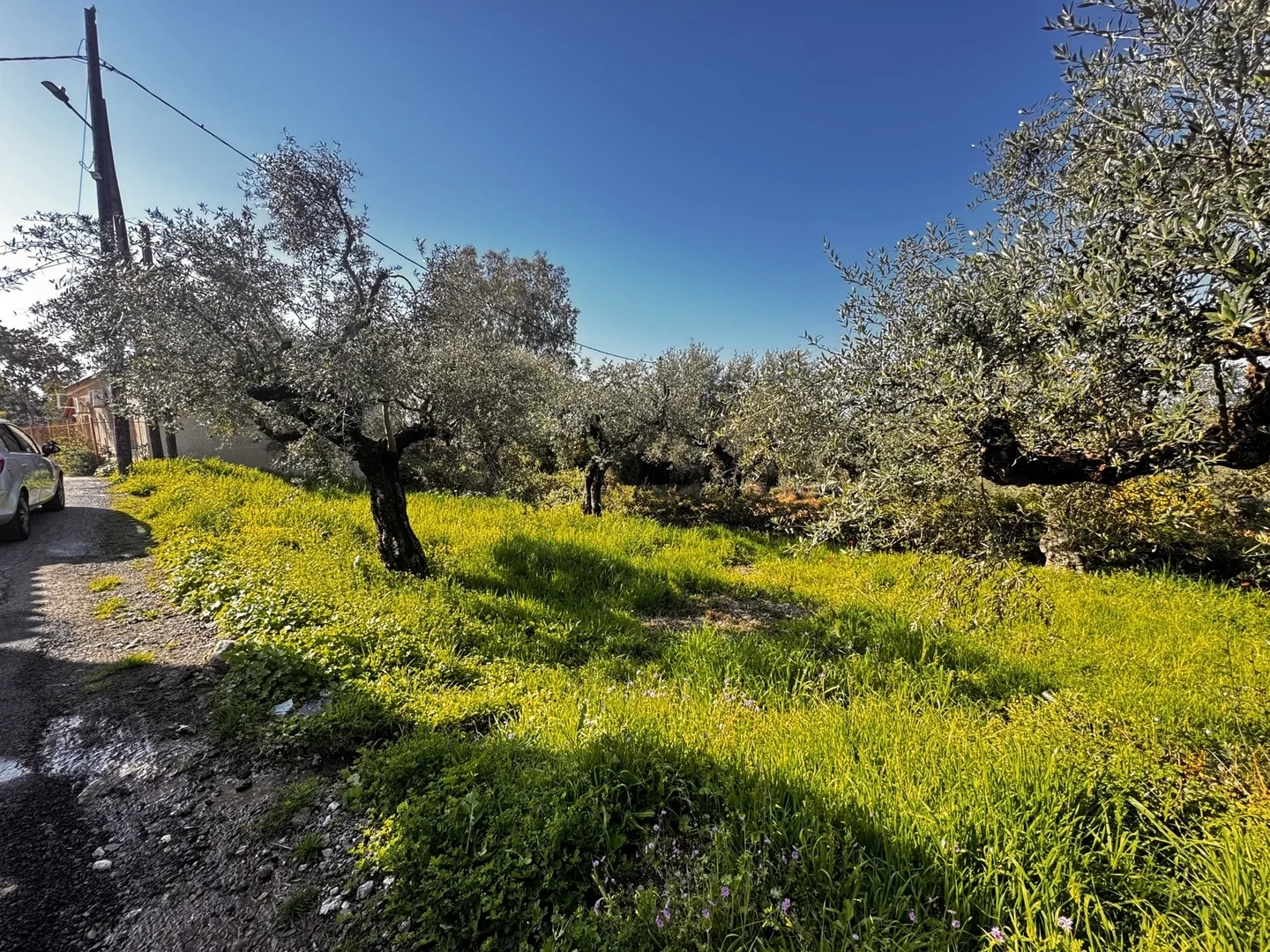 1 - venta terreno vista al mar kato verga peloponeso grecia
