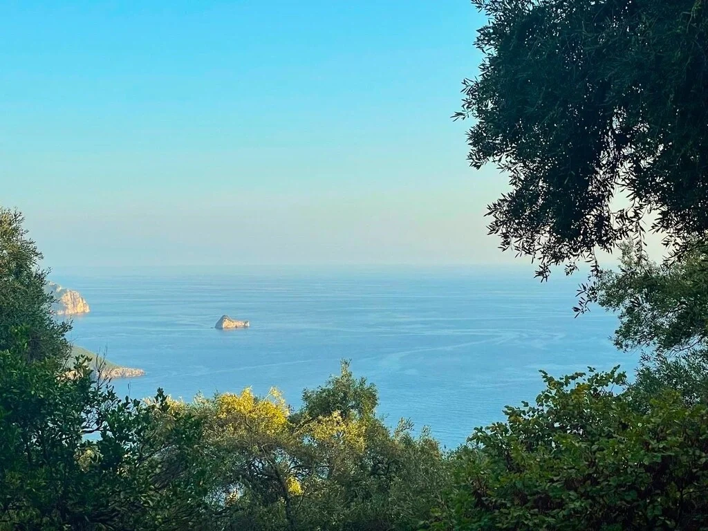 2 - vente terrain vue mer palaiokastrítsa îles ioniennes grèce