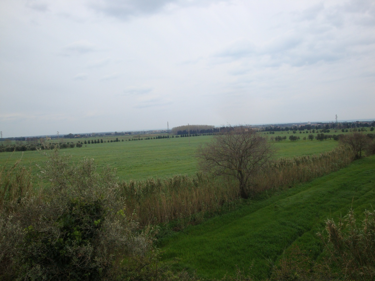 2 - plot of land for sale in rosignano marittimo tuscany italy