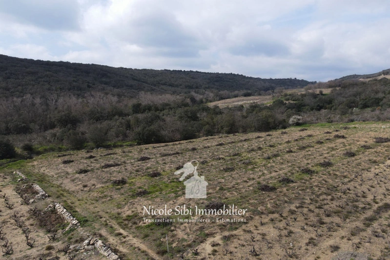 1 - verkoop terrein lansac pyrénées-orientales frankrijk