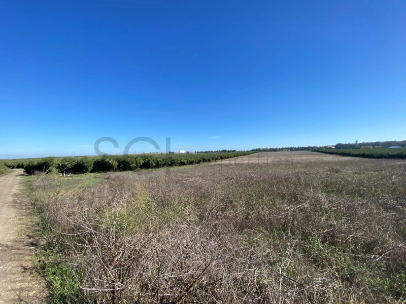2 - plot of land for sale in beja alentejo portugal