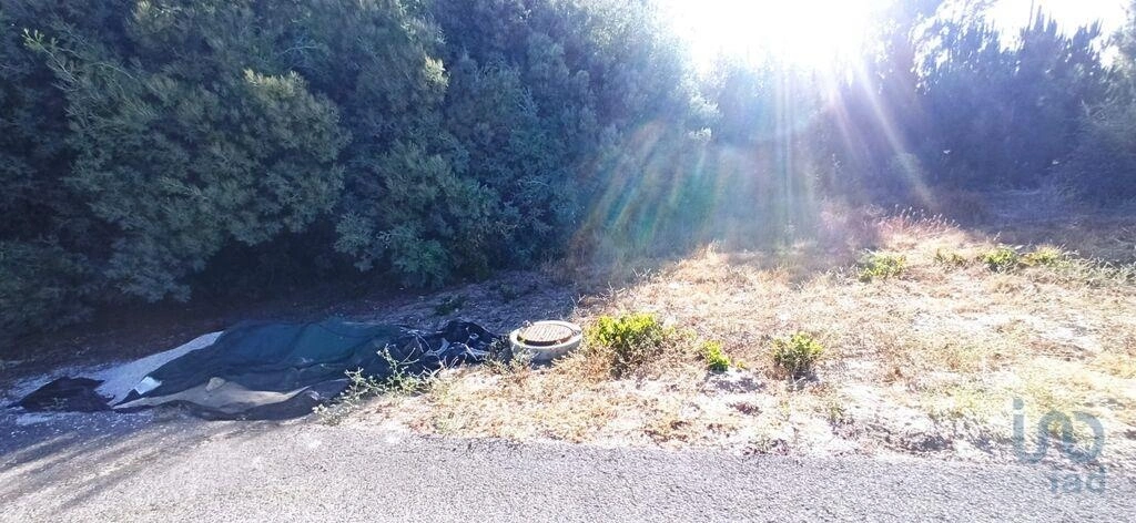 1 - venta terreno coruche alentejo portugal