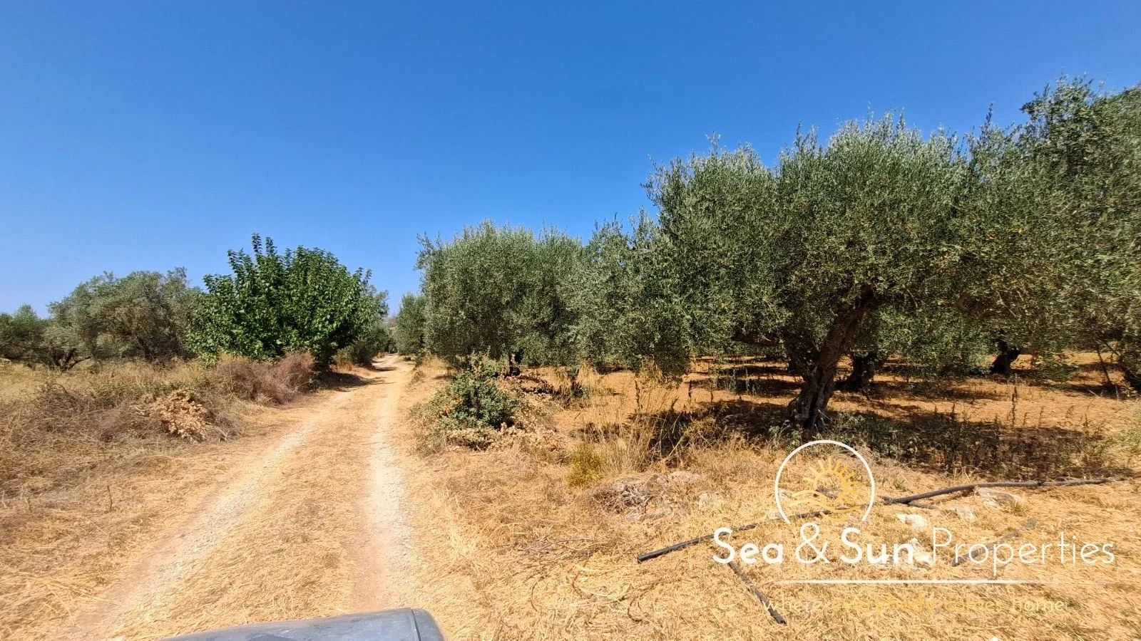1 - plot of land for sale in arménoi crete greece