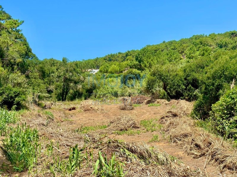 2 - продажа территория ericeira лиссабон регион португалия