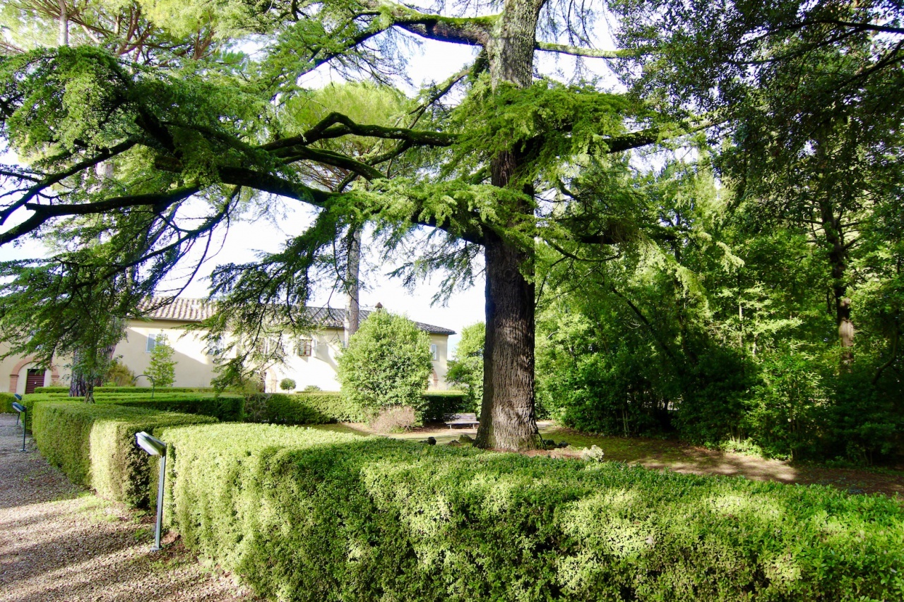 2 - apartment for sale in siena tuscany italy