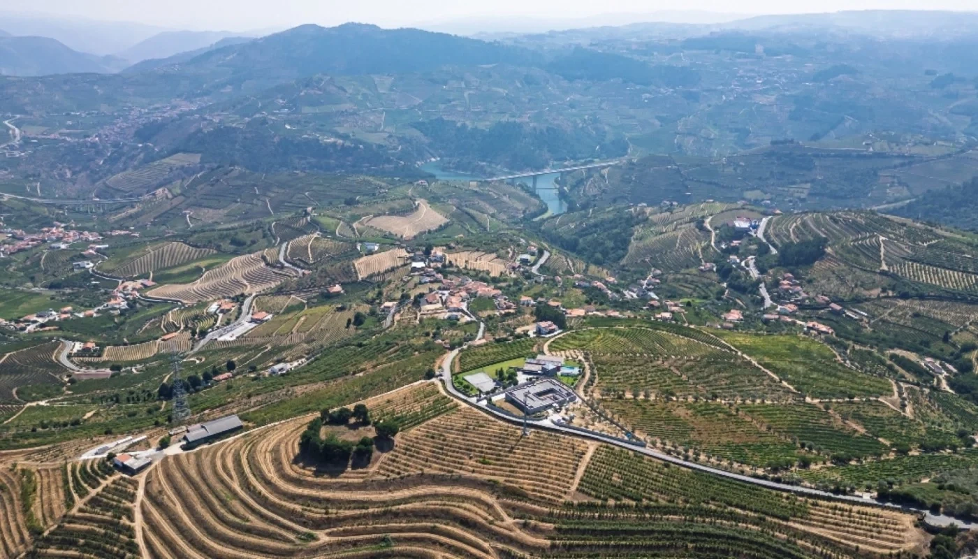 2 - vente terrain lamego région nord portugal