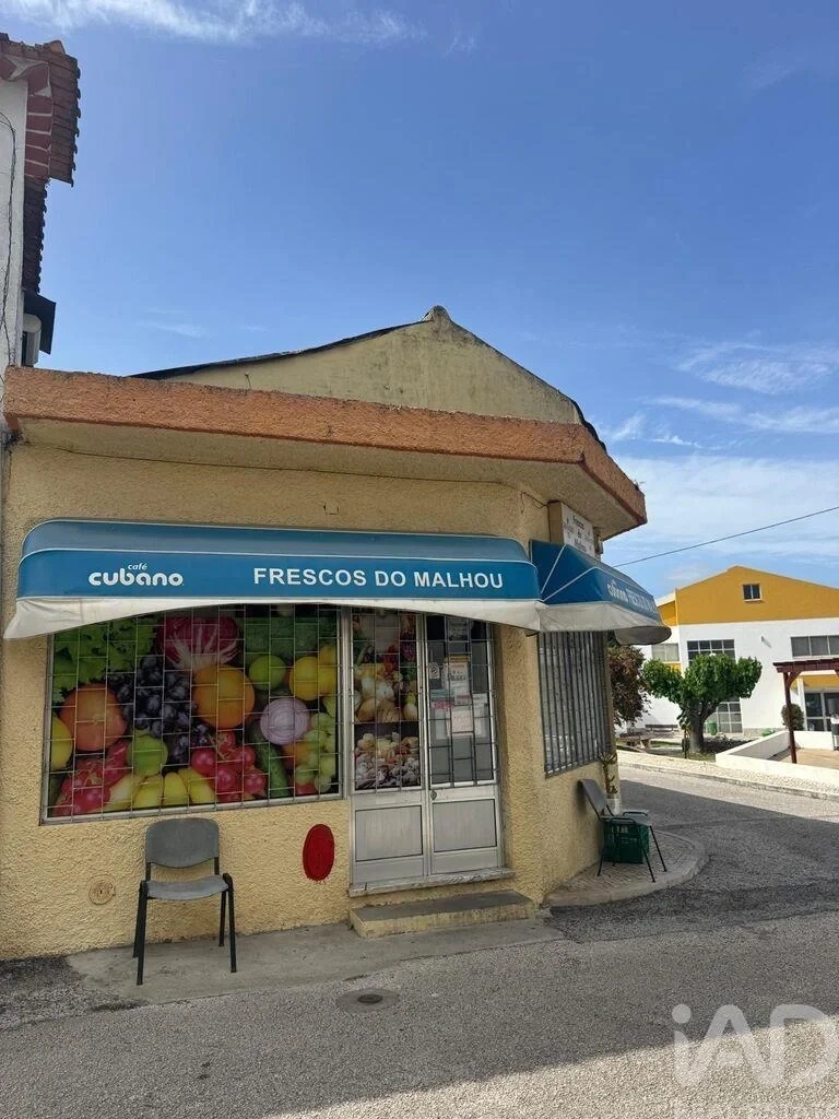 2 - venta comercio alcanena región centro portugal