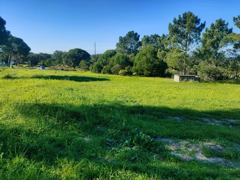 2 - house for sale in melides alentejo portugal