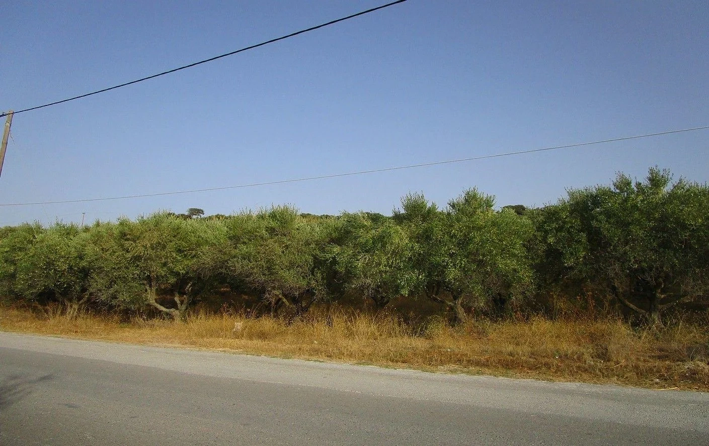 2 - plot of land for sale in tavronitis crete greece