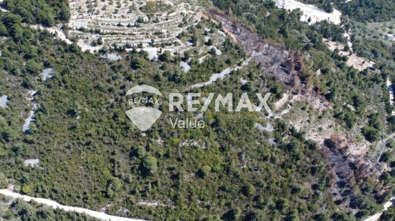 2 - verkauf grundstück meerblick lefkada ionische inseln griechenland