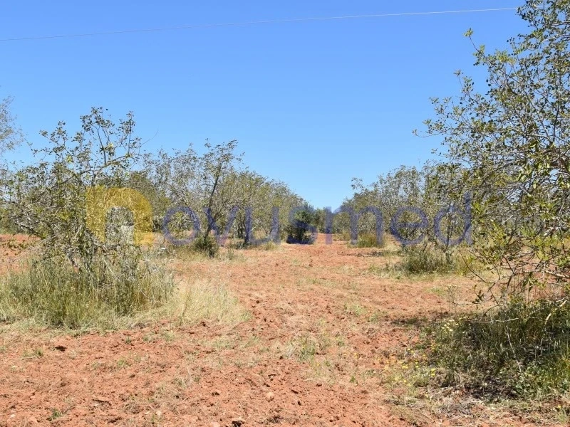 2 - plot of land for sale in paderne algarve portugal