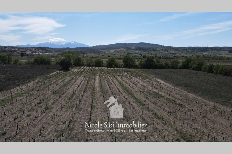 2 - venta terreno estagel pirineos orientales francia