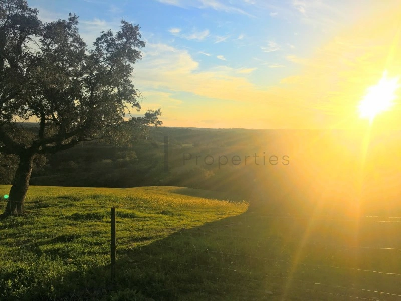 2 - venta propiedad serpa alentejo portugal