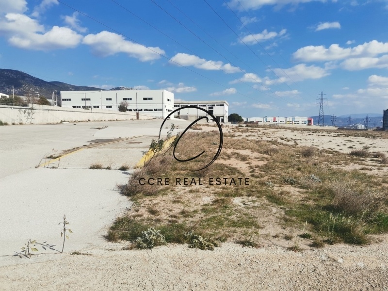 1 - vente terrain vue mer aspropirgos attique grèce