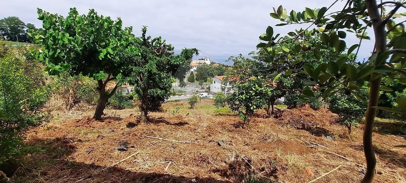 1 - vente maison vue mer santana madère portugal