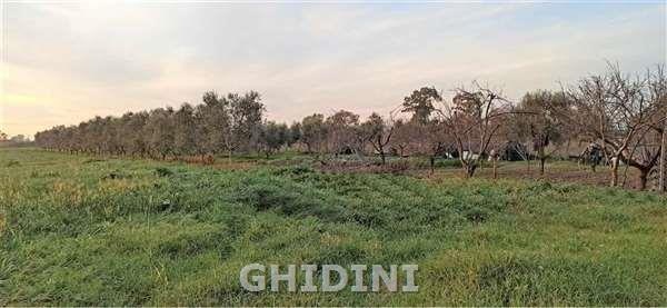 2 - vente terrain grosseto toscane italie