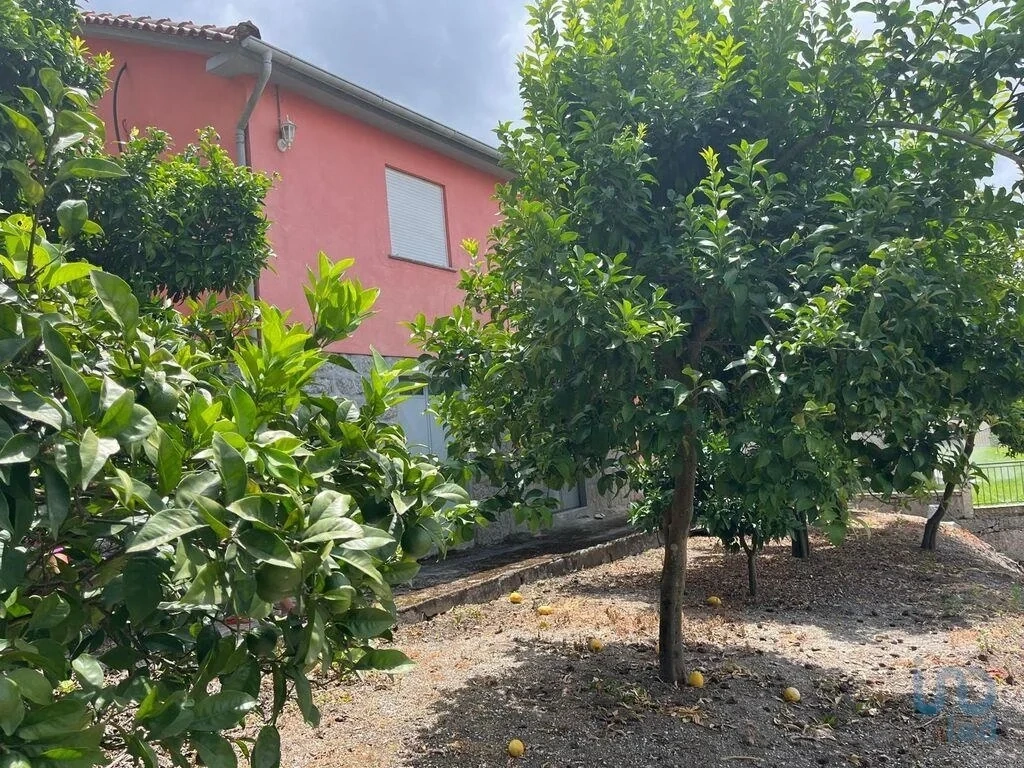 2 - vente maison póvoa de lanhoso région nord portugal