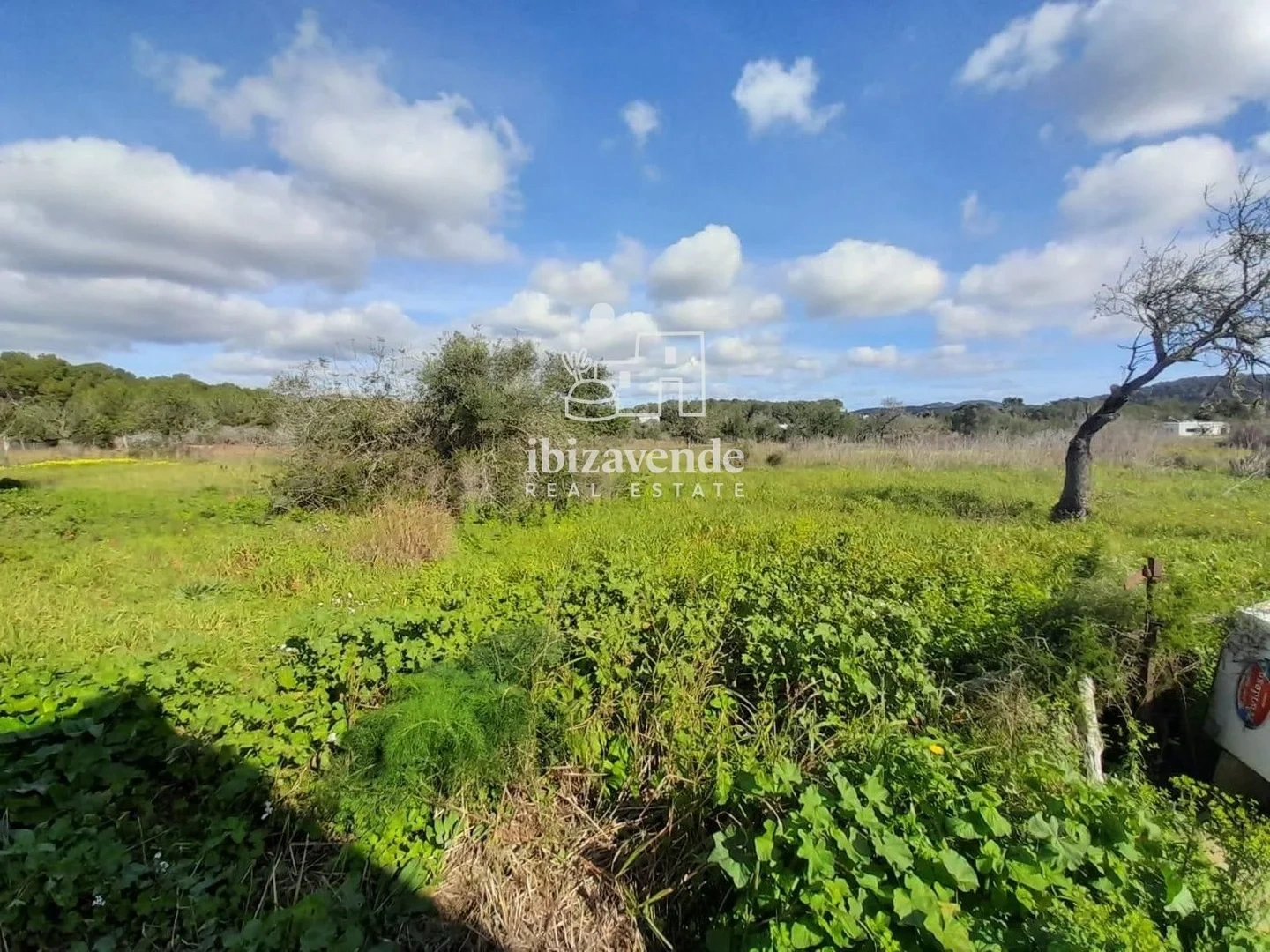 1 - vente propriété santa agnes de corona ibiza - baléares espagne