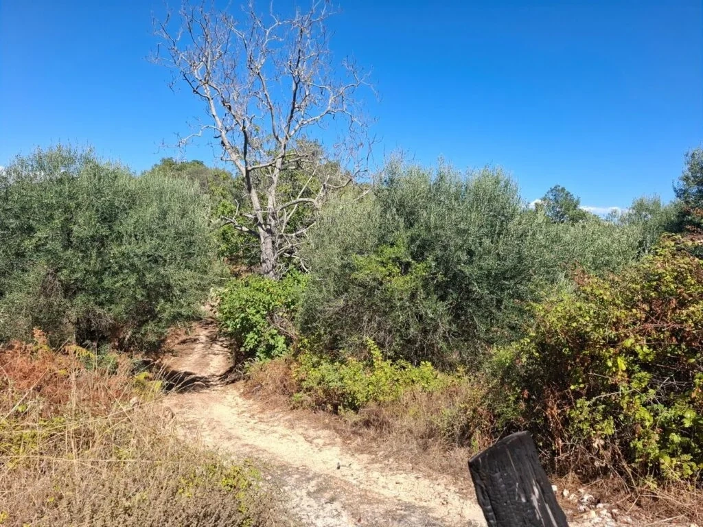 2 - sea view plot of land for sale in corfu ionian islands greece