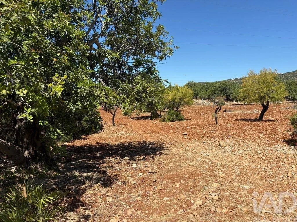 2 - vendita terreno conceição algarve portogallo