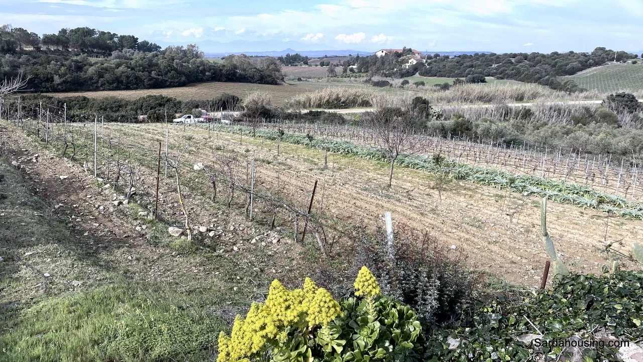 2 - plot of land for sale in soleminis sardinia italy