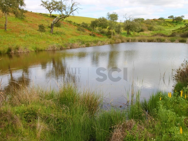 2 - venta propiedad serpa alentejo portugal