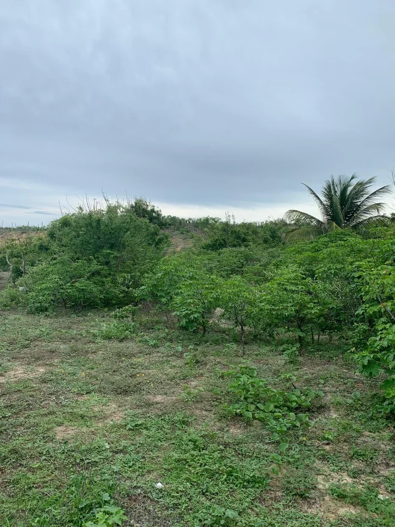 2 - verkauf grundstück strandpromenade fortim ceará brasilien
