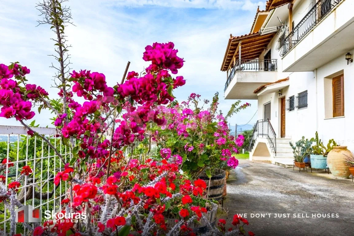 2 - vente maison vue mer míloi péloponnèse grèce