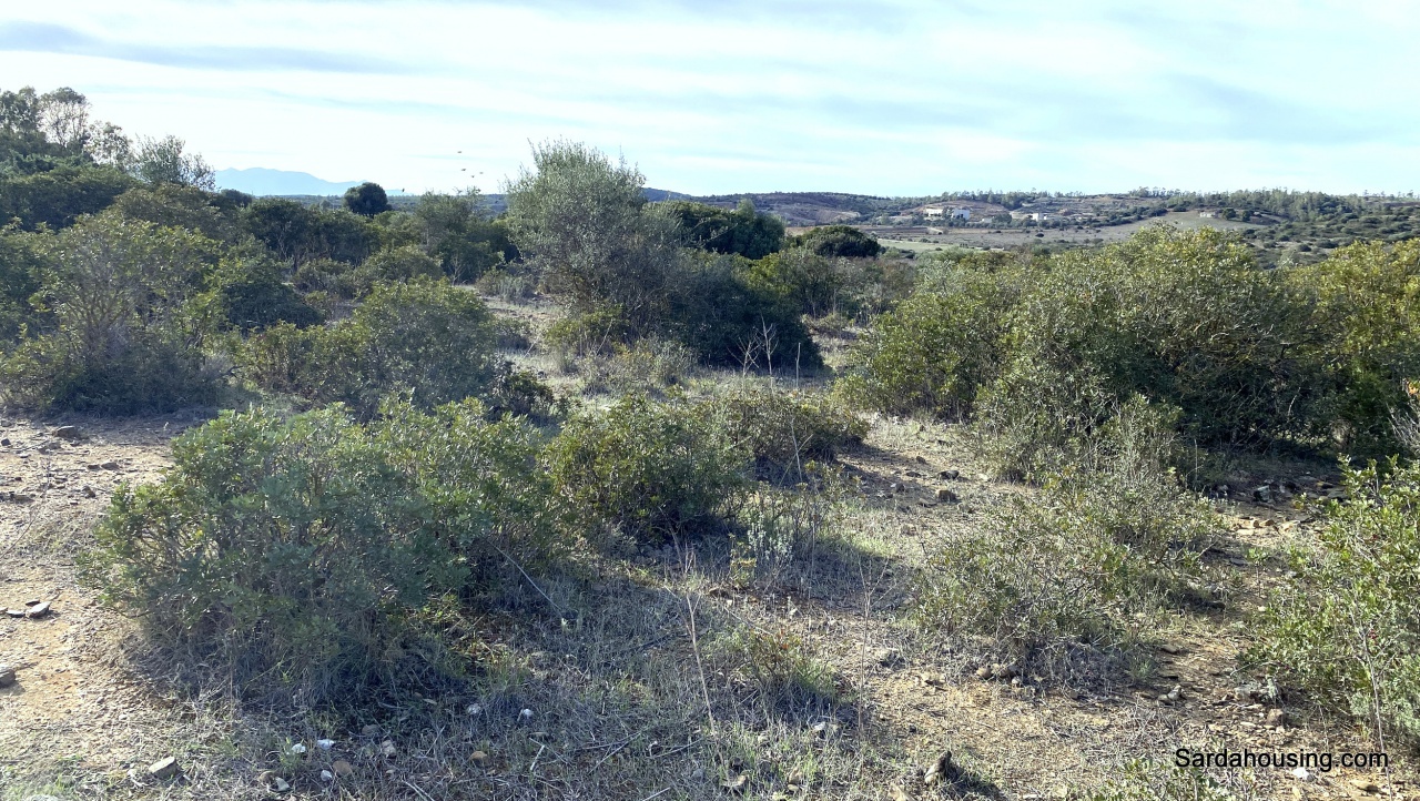 1 - venda terreno serdiana sardenha itália