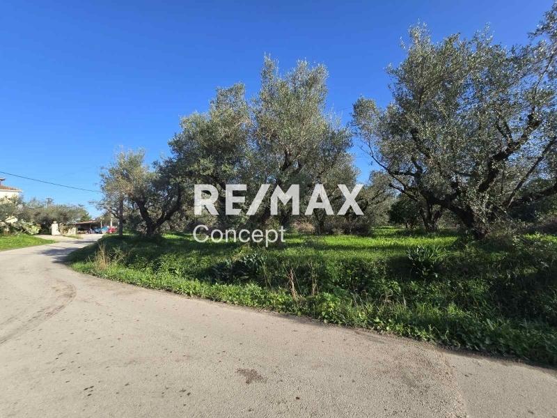 2 - venta terreno zante islas jónicas grecia