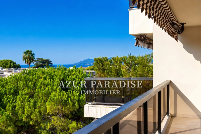 1 - vente appartement vue mer cannes alpes-maritimes france