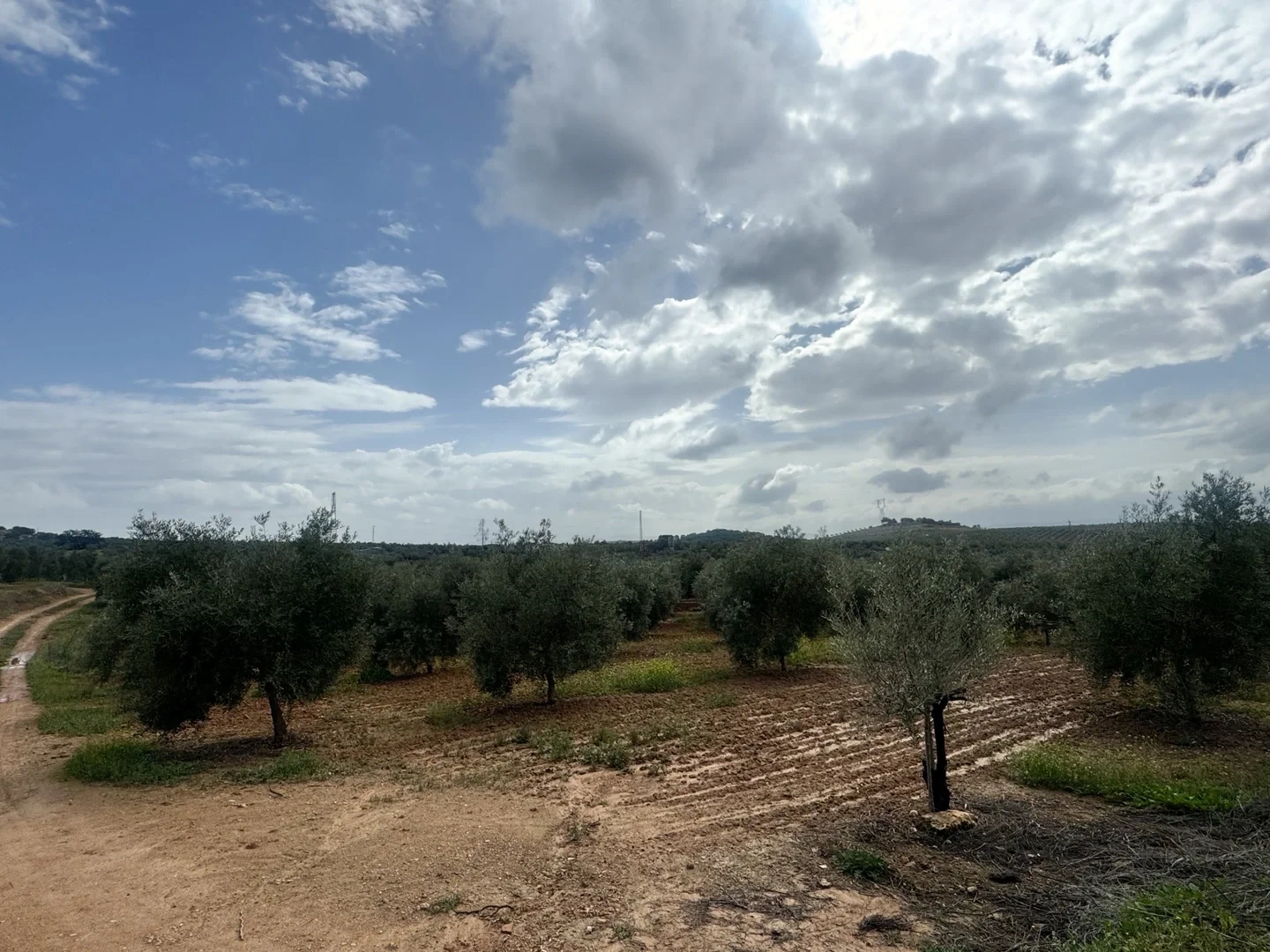 2 - verkauf grundstück mollina andalusien spanien