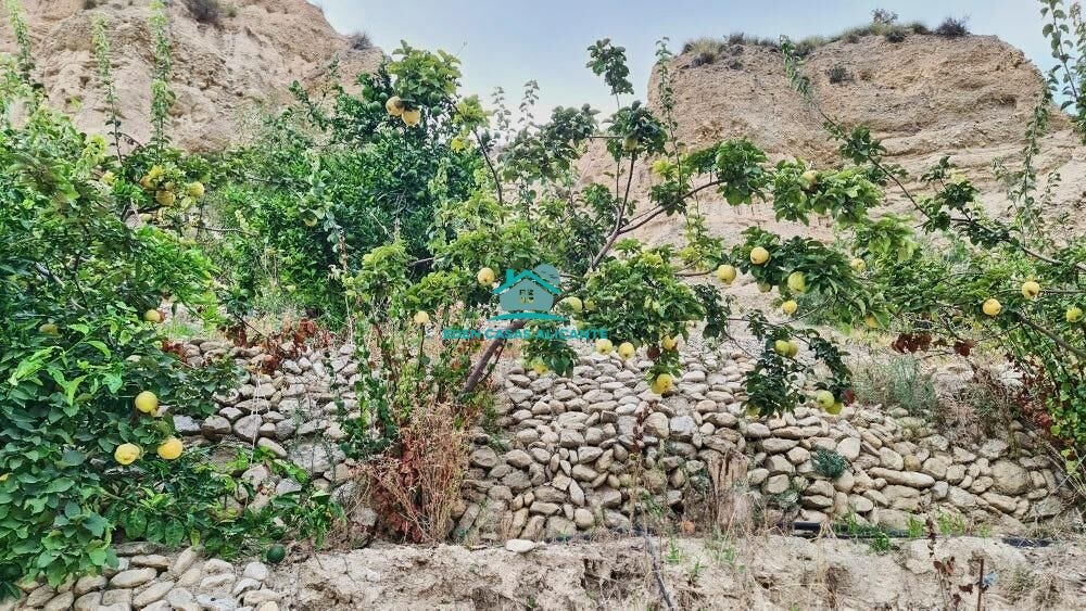 2 - vente terrain xixona communauté valencienne espagne