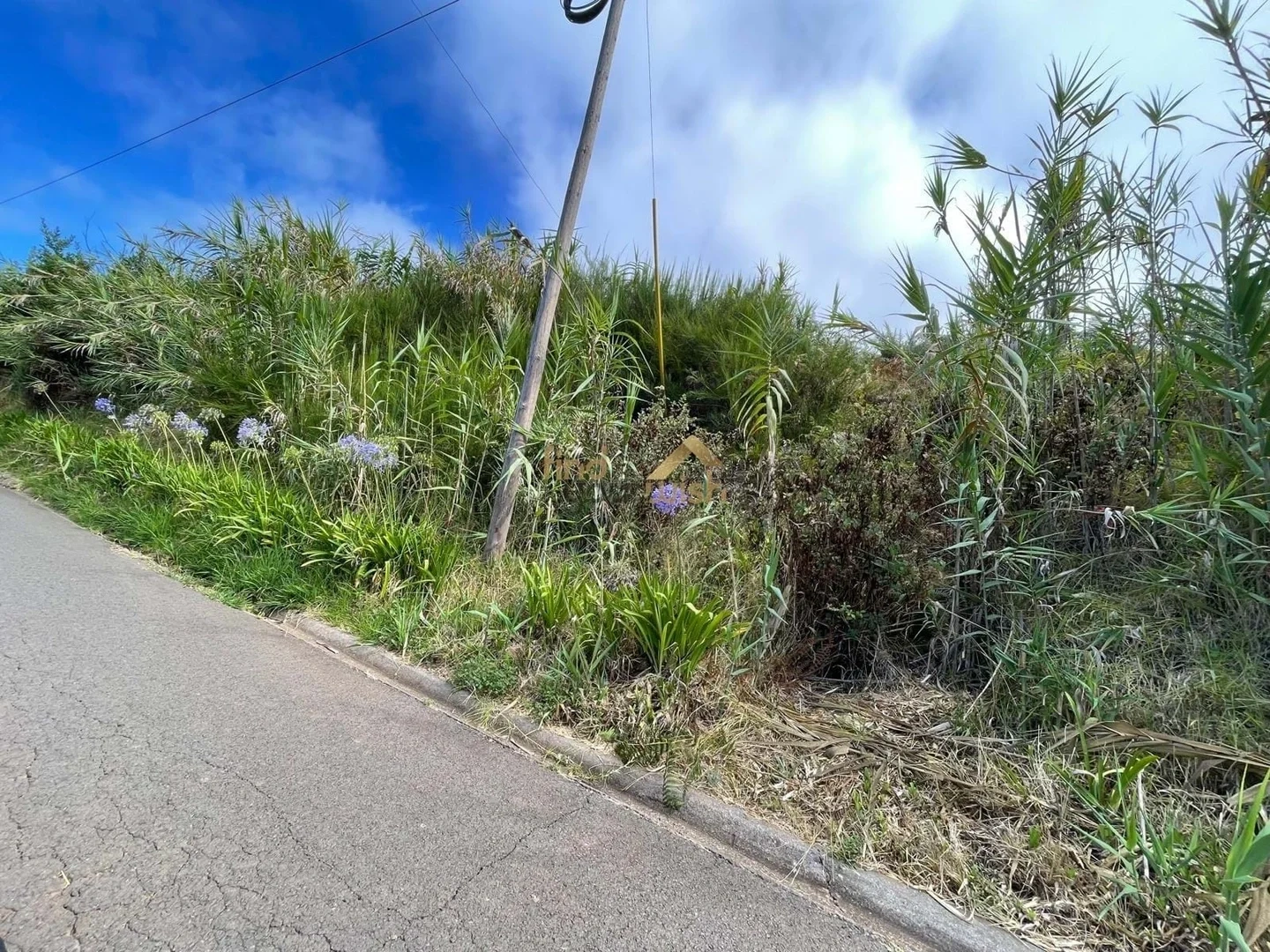1 - venta propiedad calheta madeira portugal