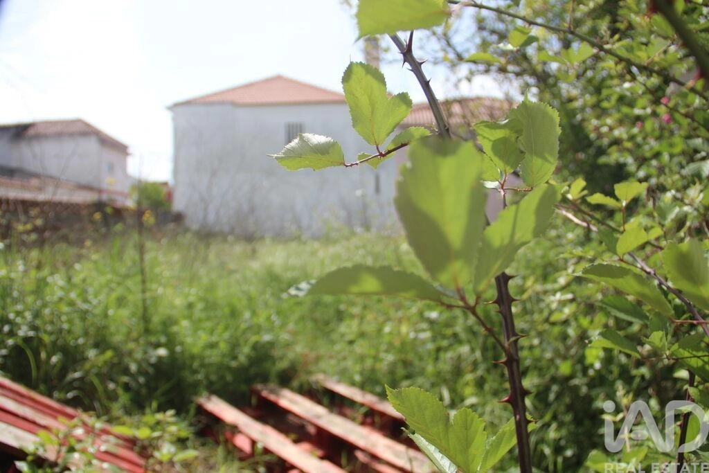 1 - plot of land for sale in alcanena centro region portugal