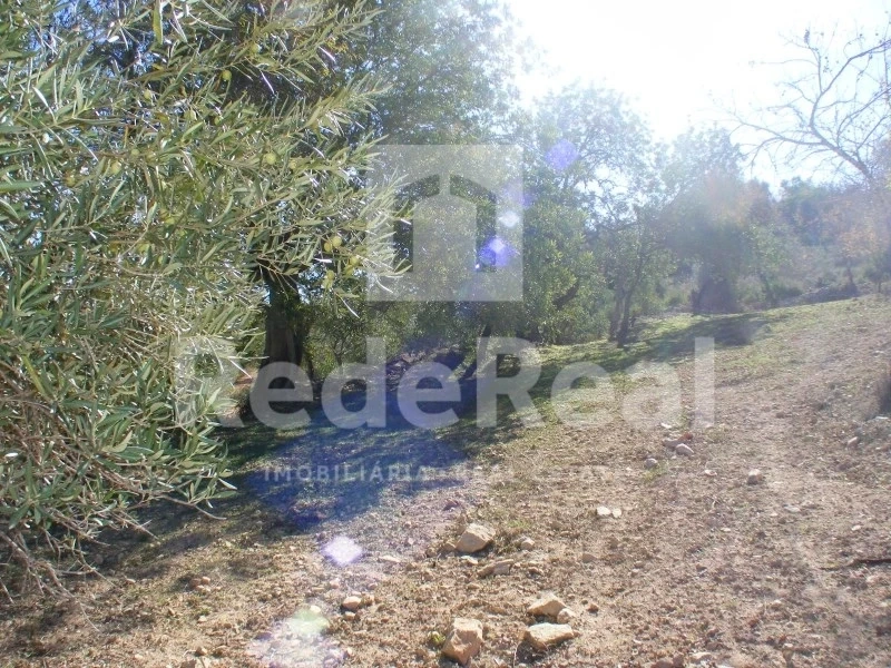 2 - venta terreno loulé algarve portugal