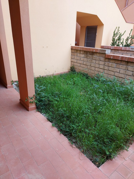 2 - verkauf wohnung meerblick castiglione-delle-pescaia toskana italien