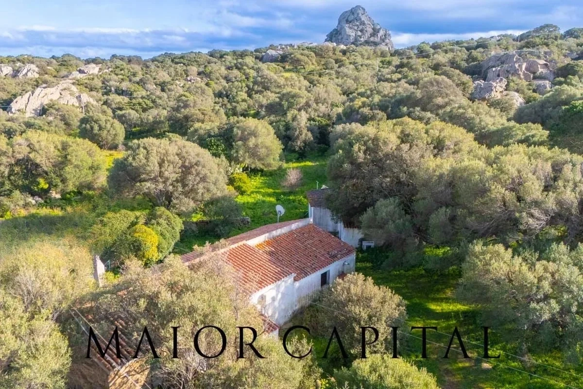 1 - house for sale in olbia sardinia italy