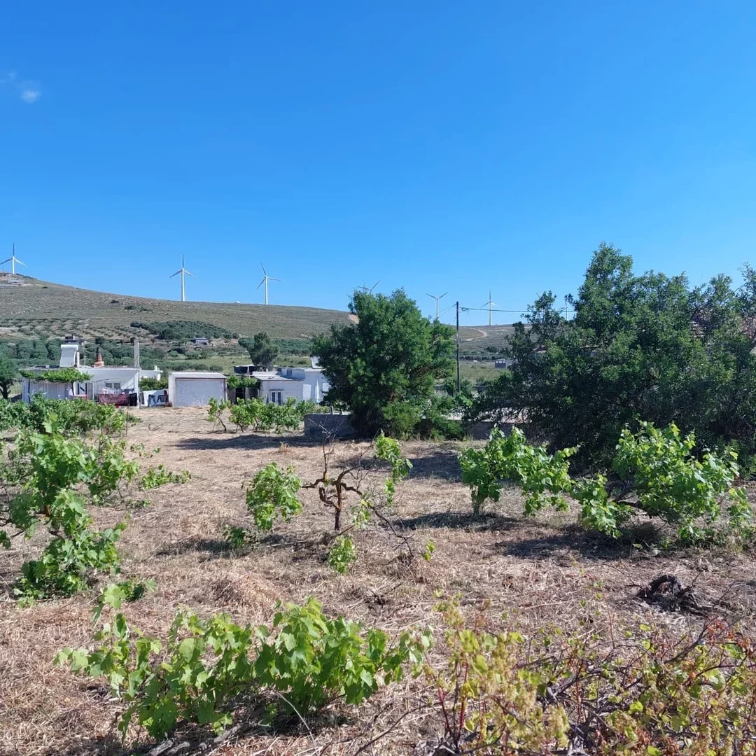 2 - vente maison chandras crète grèce