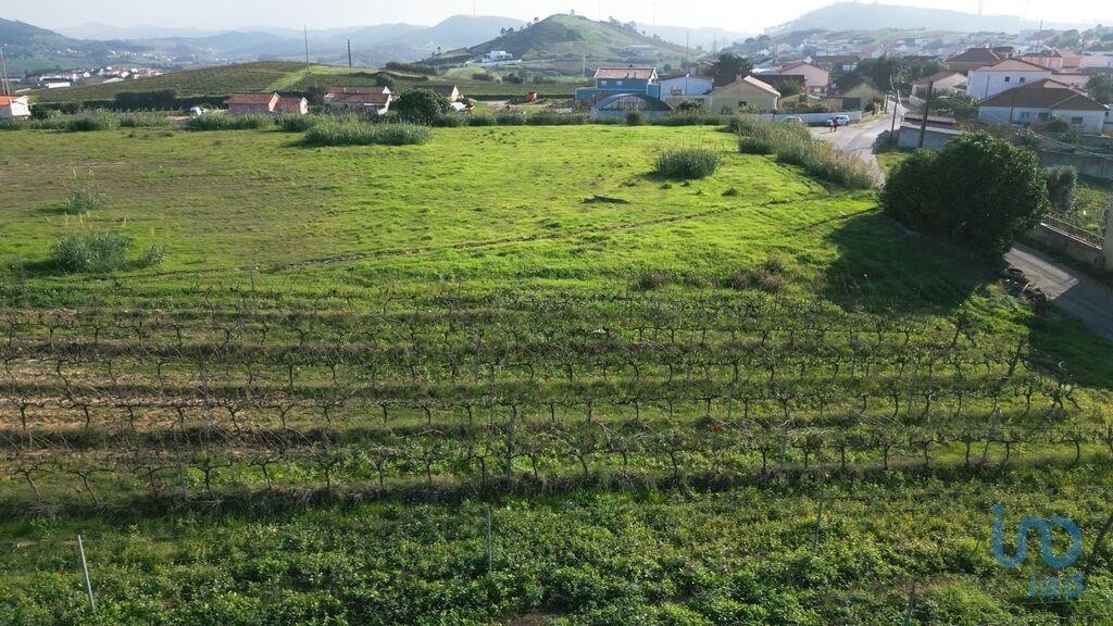 2 - vente terrain torres vedras région centre portugal