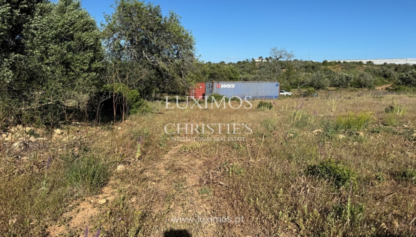 2 - plot of land for sale in silves algarve portugal