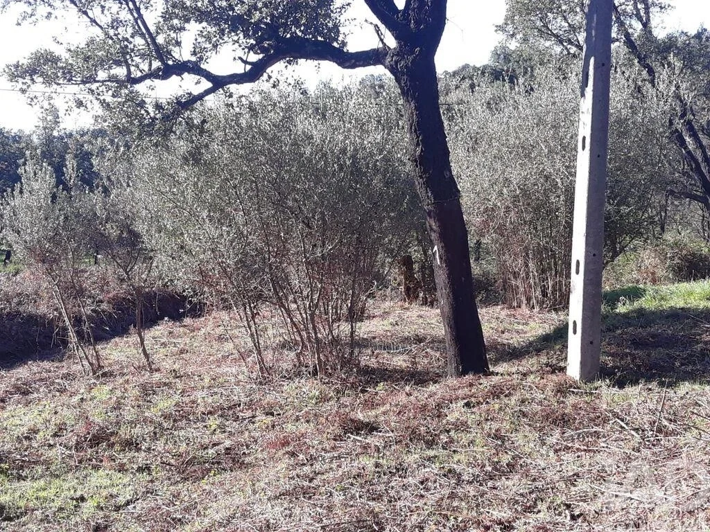 1 - venta terreno monchique algarve portugal